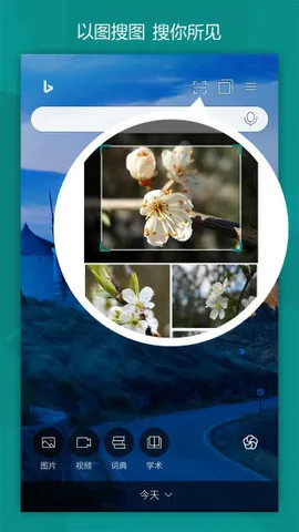 BING΢Ӧ(湦ȫ)v31.4.2110003555 Ѱͼ