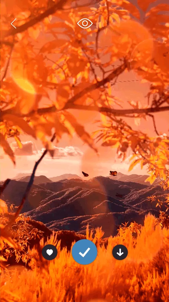 Ƥ��������ֽ�̻�2025���ذ�װv1.4.1 �ֻ����ͼ