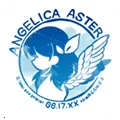 ANGELICA ASTER2025ٷ
