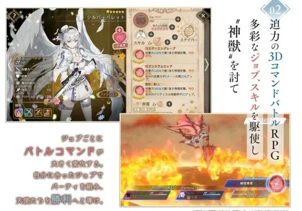 ANGELICA ASTER2025官方正版 ANGELICA ASTER2025官方正版