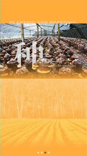 ɭũ(ũۺϷ)v1.0.12 ֻͼ