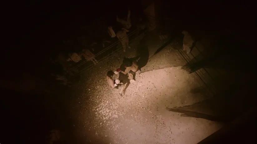 Ҵ򲻹Ư(˻Ϸ)v3.1.0 ׿ͼ