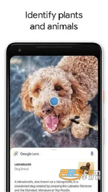 ȸܾͷ(ͼʶ)v1.17.240515009 ׿ͼ