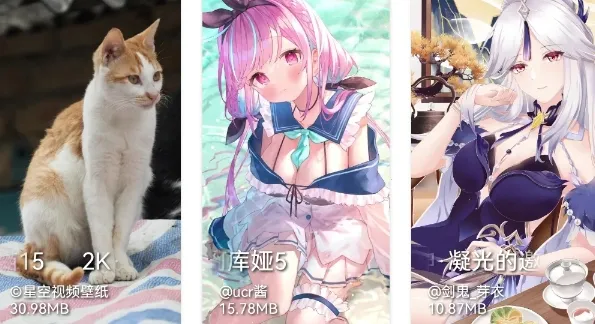 泡泡壁纸(壁纸下载软件) 泡泡壁纸(壁纸下载软件)