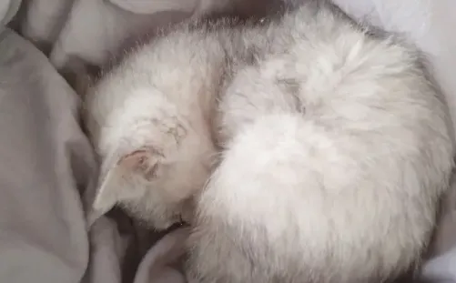 笔趣看书阁红色安卓版手机版 笔趣看书阁红色安卓版手机版