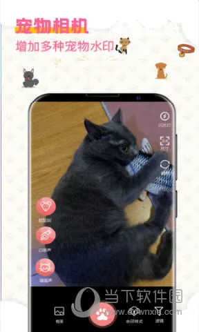 宠物翻译器(宠物交流翻译) 宠物翻译器(宠物交流翻译)