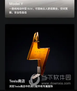 Tesla2025���ذ�װ