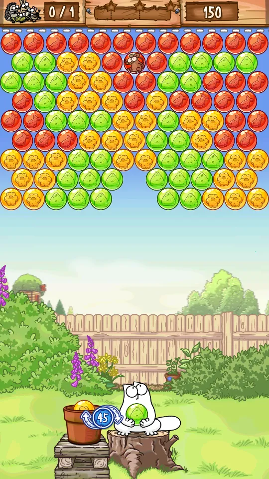 ���ɵ�è�����ֻ���