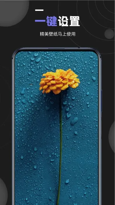 �ҵı�ֽ(��ֽ��������ȫ)v1.9 ��׿���ͼ