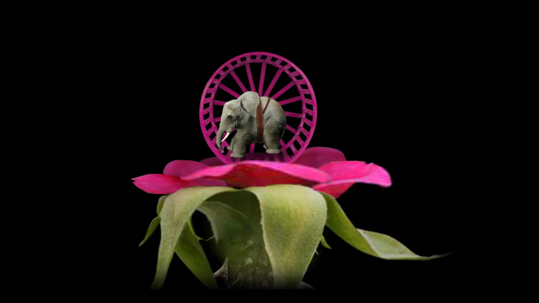 ����һ�����Ӱ�׿���ֻ���v0.60 ��׿���ͼ