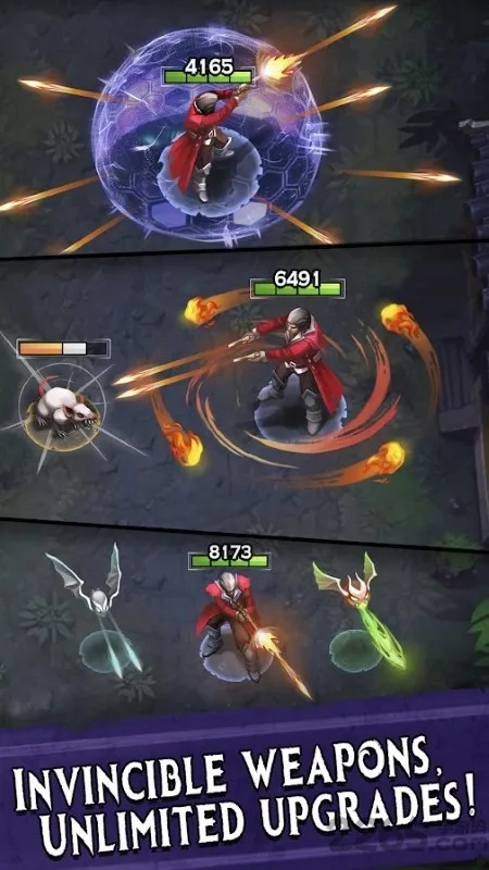 ɱ������2025�ٷ�����v0.1.61 ��Ѱ��ͼ