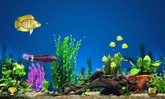 3d�����С��(�����С����Ϸ)v1.0.41 �ֻ����ͼ