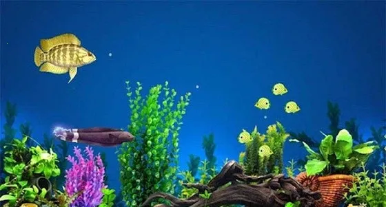 3d�����С��(�����С����Ϸ)v1.0.41 �ֻ����ͼ