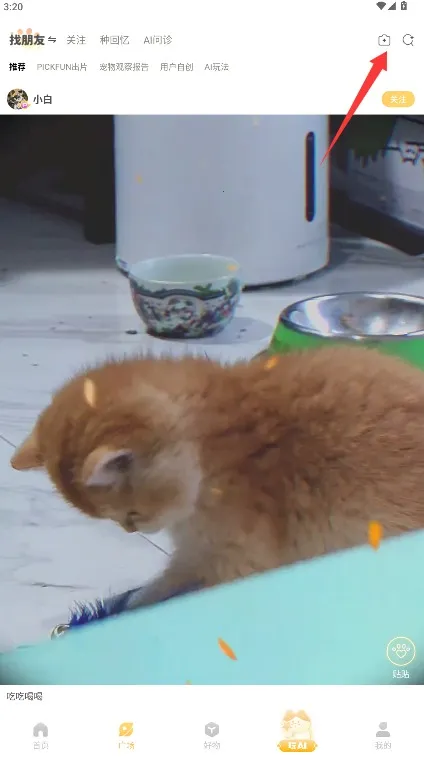 Ƥ�˷�2025���ذ�װ