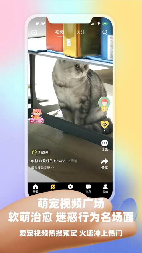 Ƥ�˷�2025���ذ�װv3.17.2 ��Ѱ��ͼ