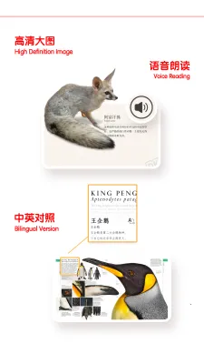 ǧ��ٿƵ�2025�ٷ����°汾