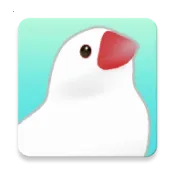 ��������2025�ٷ�����