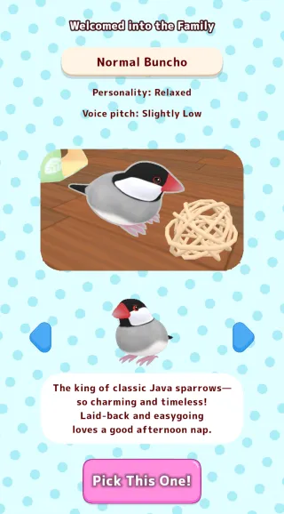 ��������2025�ٷ�����v1.1 ��Ѱ��ͼ