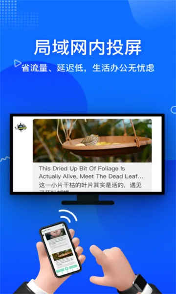 ����Ͷ����2026���°汾v23.6.50 �ٷ������ͼ