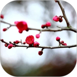 ÷�������ʼǰ�׿���ֻ���