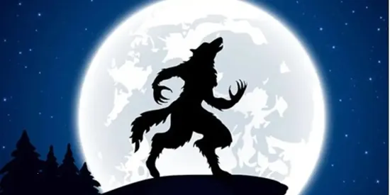 �ռ�����ɱ2026�ٷ�����