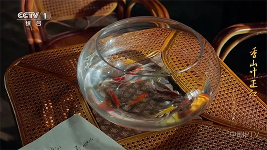 �������_fongmi��(����ֱ��ƽ̨)v2.3.3 �ٷ������ͼ