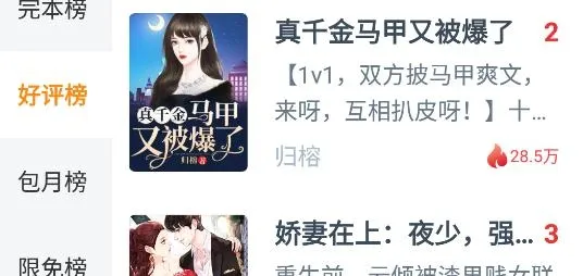 ���С˵(С˵�Ķ�����)