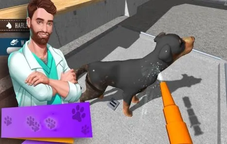 ����������ģ����2026�ٷ����°汾