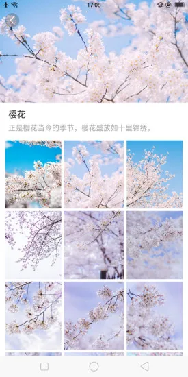 ��ű�ֽv1.0.0 �ֻ����ͼ