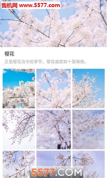 ��ű�ֽv1.0.0 �ֻ����ͼ