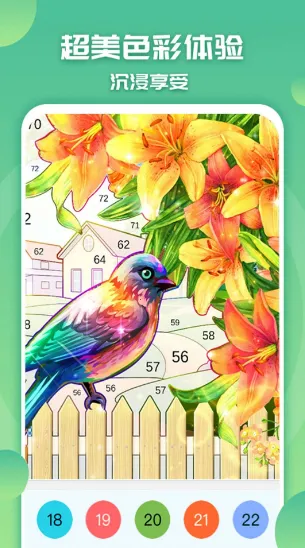 ��ɫ���С����