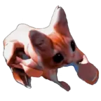 ��������ս�����ֻ���