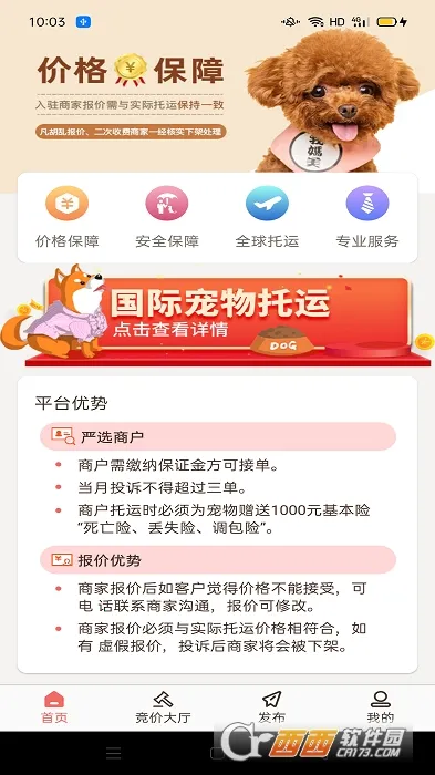 ��������petv1.0.0 �ٷ������ͼ