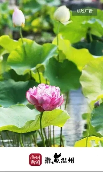 ��������v9.0.2 �ٷ������ͼ