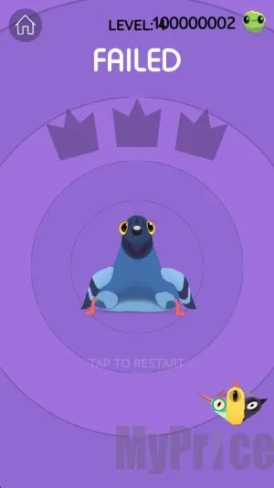 pigeon����2026�ٷ����°汾