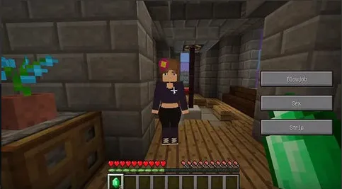 ����ģ��ֱװv1.1.6.3 �ֻ����ͼ