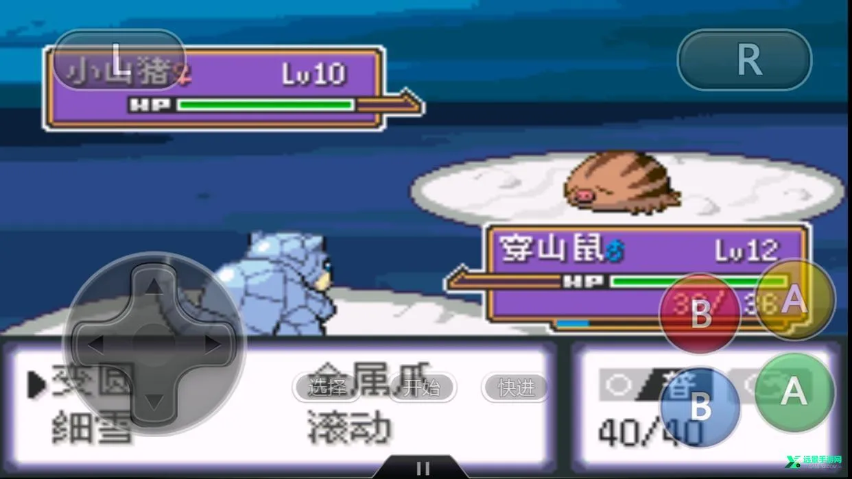 �ڴ����ֽ��ȫ2026�ٷ�����