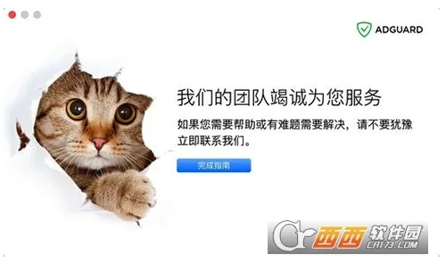 adguard�ƽ��v4.14.41 �ٷ������ͼ