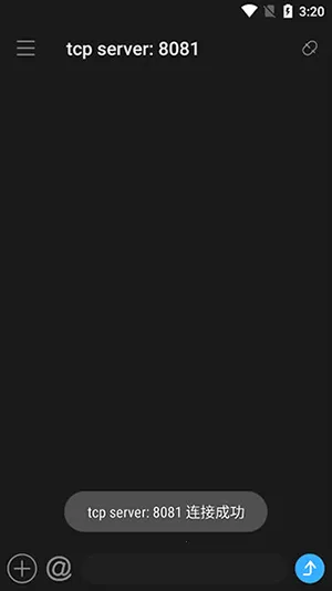 NetAssist�������