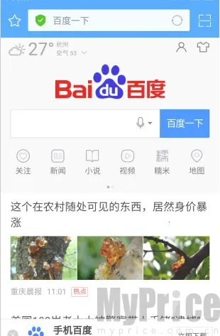 ��ӥ������ֻ�������