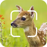 TrailCam Go2026���°汾