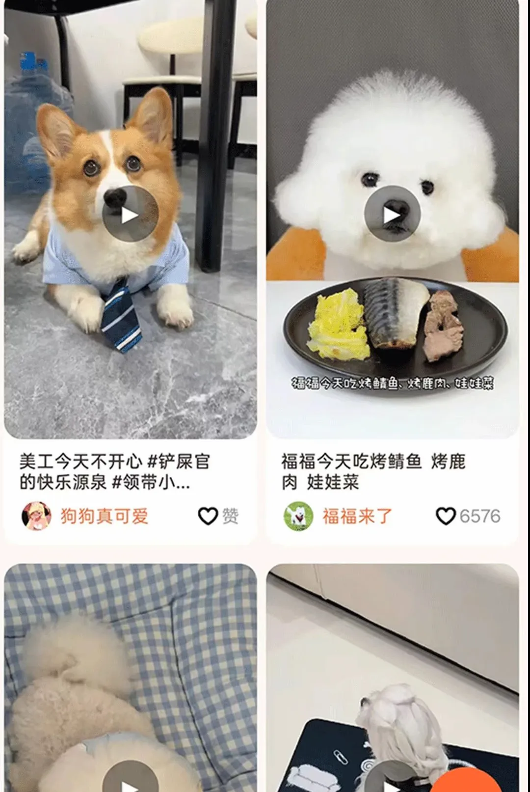 С���APP(���ϳ���ר��)v1.1.7 �ֻ����ͼ