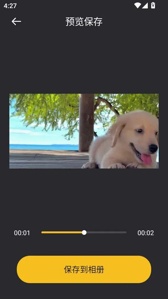 音范丝4k(高清影视软件)