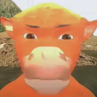 ţ��������ư������ֻ���