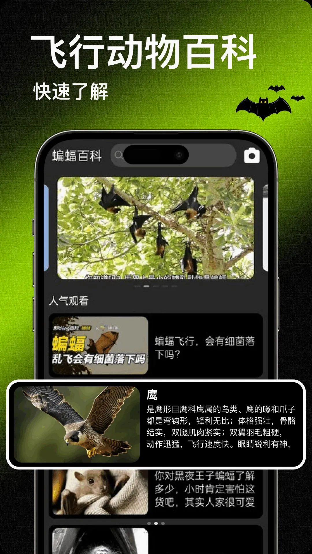 Bat����(���ж����������)v1.2 �ֻ����ͼ