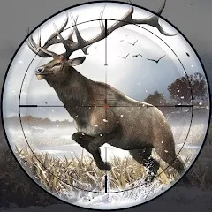 ��¹ 2�����Լ���2026���°汾