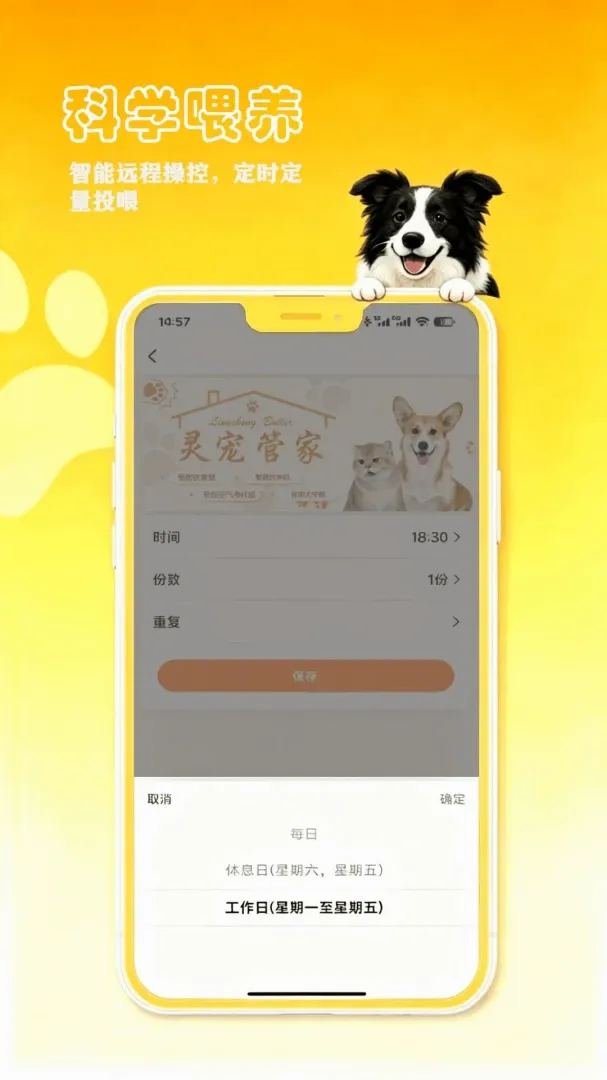 petCompanionR���ܼ�(����ιʳ�豸)v1.0.17 �ֻ����ͼ