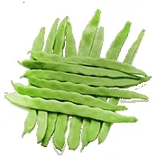 С�˶�2026���°汾