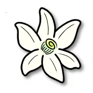 �Ȼ�ģ����(�ֻ���������Ϸ)