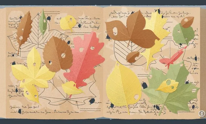 ����һ�㣺������2026���ذ�װv3.5.81 �ֻ����ͼ